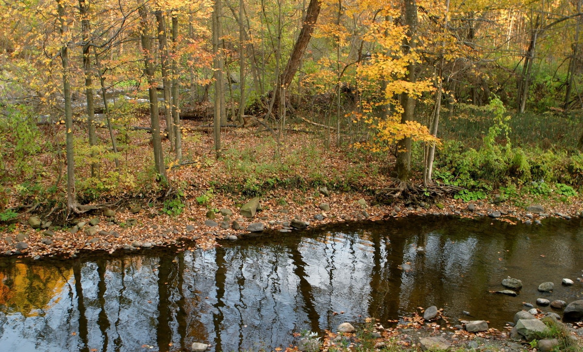 Природа, пейзаж Осень ручей, лес, камни красивые обои рабочий стол