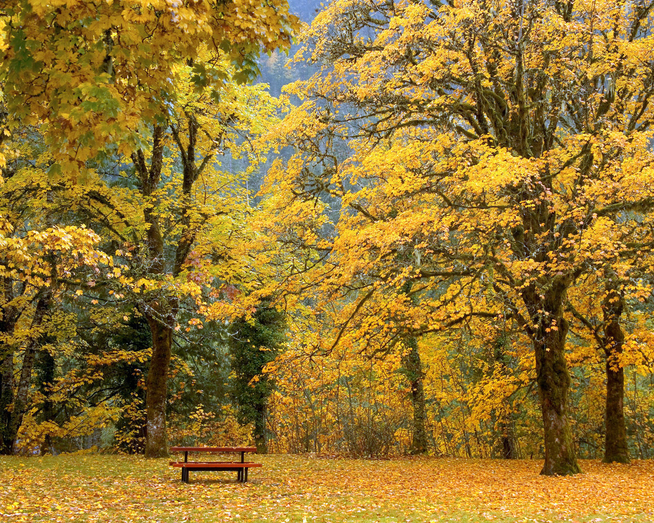 Природа, пейзаж Осень autumn, wallpaper 189 красивые обои рабочий стол