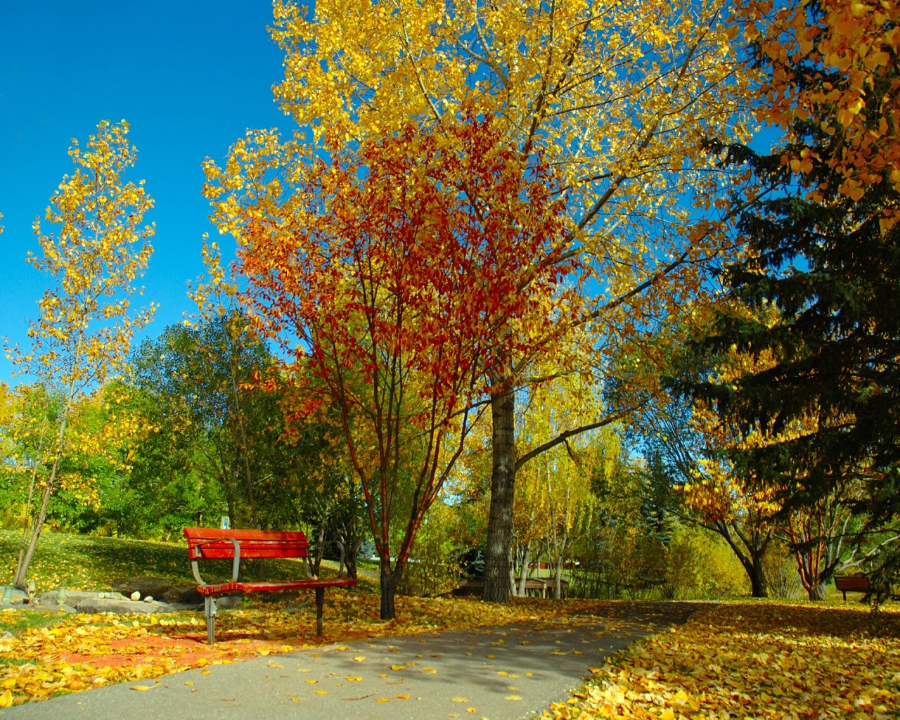 Природа, пейзаж Осень autumn, wallpaper 110 красивые обои рабочий стол