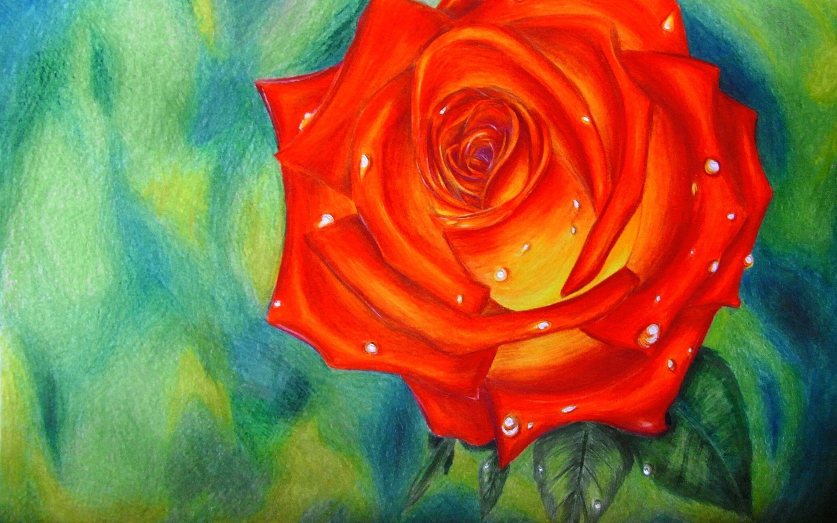Цветы Розы роза, красная, алая, капли, рисунок картинка, обои рабочий стол