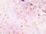 Девушка Цветы flowers, nature, wallpaper 5220 обои рабочий стол
