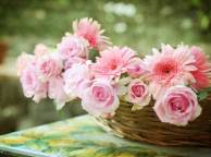 Девушка Цветы flowers, nature, wallpaper 4117 обои рабочий стол