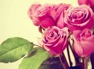 Девушка Цветы flowers, nature, wallpaper 5161 обои рабочий стол
