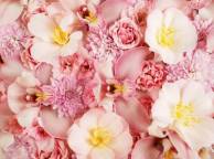 Девушка Цветы flowers, nature, wallpaper 454 обои рабочий стол