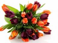 Девушка Цветы flowers, nature, wallpaper 375 обои рабочий стол