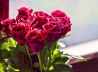 Девушка Цветы flowers, nature, wallpaper 390 обои рабочий стол
