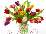 Девушка Цветы flowers, nature, wallpaper 4149 обои рабочий стол