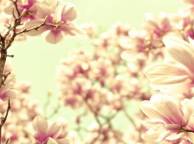 Девушка Цветы flowers, nature, wallpaper 552 обои рабочий стол