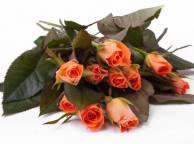 Девушка Цветы flowers, nature, wallpaper 4184 обои рабочий стол