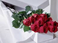 Девушка Цветы flowers, nature, wallpaper 4112 обои рабочий стол