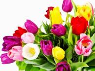 Девушка Цветы flowers, nature, wallpaper 4157 обои рабочий стол