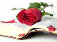 Девушка Цветы flowers, nature, wallpaper 4136 обои рабочий стол