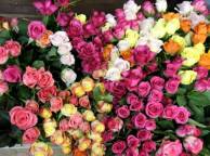 Девушка Цветы flowers, nature, wallpaper 352 обои рабочий стол