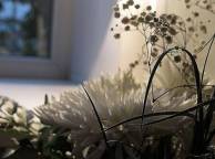 Девушка Цветы flowers, nature, wallpaper 32 обои рабочий стол