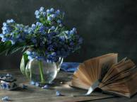 Девушка Цветы flowers, nature, wallpaper 497 обои рабочий стол
