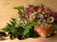 Девушка Цветы flowers, nature, wallpaper 113 обои рабочий стол