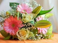 Девушка Цветы flowers, nature, wallpaper 3116 обои рабочий стол