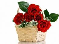 Девушка Цветы flowers, nature, wallpaper 4133 обои рабочий стол