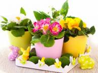 Девушка Цветы flowers, nature, wallpaper 23 обои рабочий стол
