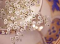 Девушка Цветы flowers, nature, wallpaper 335 обои рабочий стол