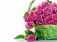Девушка Цветы flowers, nature, wallpaper 4151 обои рабочий стол