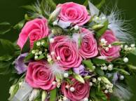 Девушка Цветы flowers, nature, wallpaper 219 обои рабочий стол
