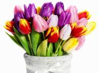 Девушка Цветы flowers, nature, wallpaper 3118 обои рабочий стол