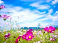 Девушка Цветы flowers, nature, wallpaper 4129 обои рабочий стол