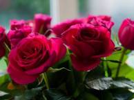 Девушка Цветы flowers, nature, wallpaper 276 обои рабочий стол