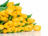 Девушка Цветы flowers, nature, wallpaper 4152 обои рабочий стол
