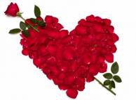 Девушка Цветы flowers, nature, wallpaper 3123 обои рабочий стол