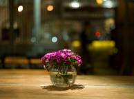 Девушка Цветы flowers, nature, wallpaper 263 обои рабочий стол