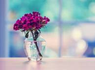 Девушка Цветы flowers, nature, wallpaper 261 обои рабочий стол