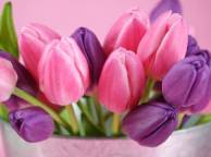 Девушка Цветы flowers, nature, wallpaper 549 обои рабочий стол