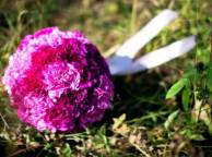 Девушка Цветы flowers, nature, wallpaper 343 обои рабочий стол