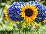 Девушка Цветы flowers, nature, wallpaper 488 обои рабочий стол