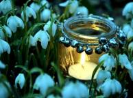 Девушка Цветы flowers, nature, wallpaper 3109 обои рабочий стол