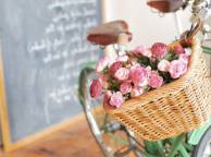 Девушка Цветы flowers, nature, wallpaper 275 обои рабочий стол