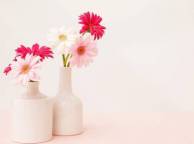 Девушка Цветы flowers, nature, wallpaper 3131 обои рабочий стол