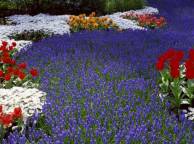Девушка Цветы flowers, nature, wallpaper 5175 обои рабочий стол