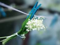 Девушка Цветы flowers, nature, wallpaper 294 обои рабочий стол