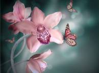 Девушка Цветы flowers, nature, wallpaper 226 обои рабочий стол