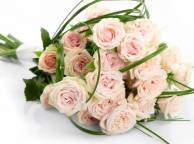 Девушка Цветы flowers, nature, wallpaper 4162 обои рабочий стол