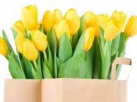 Девушка Цветы flowers, nature, wallpaper 4158 обои рабочий стол