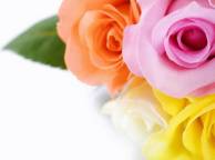 Девушка Цветы flowers, nature, wallpaper 111 обои рабочий стол