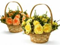 Девушка Цветы flowers, nature, wallpaper 3127 обои рабочий стол
