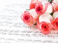 Девушка Цветы flowers, nature, wallpaper 3108 обои рабочий стол