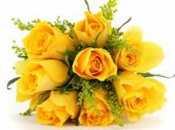 Девушка Цветы flowers, nature, wallpaper 4180 обои рабочий стол