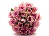 Девушка Цветы flowers, nature, wallpaper 3124 обои рабочий стол