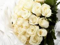 Девушка Цветы flowers, nature, wallpaper 4185 обои рабочий стол